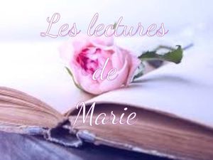 Chronique Marie: La quête de Pablo, Tome 1 le cœur de la Princesse  De Mélanie Baranger