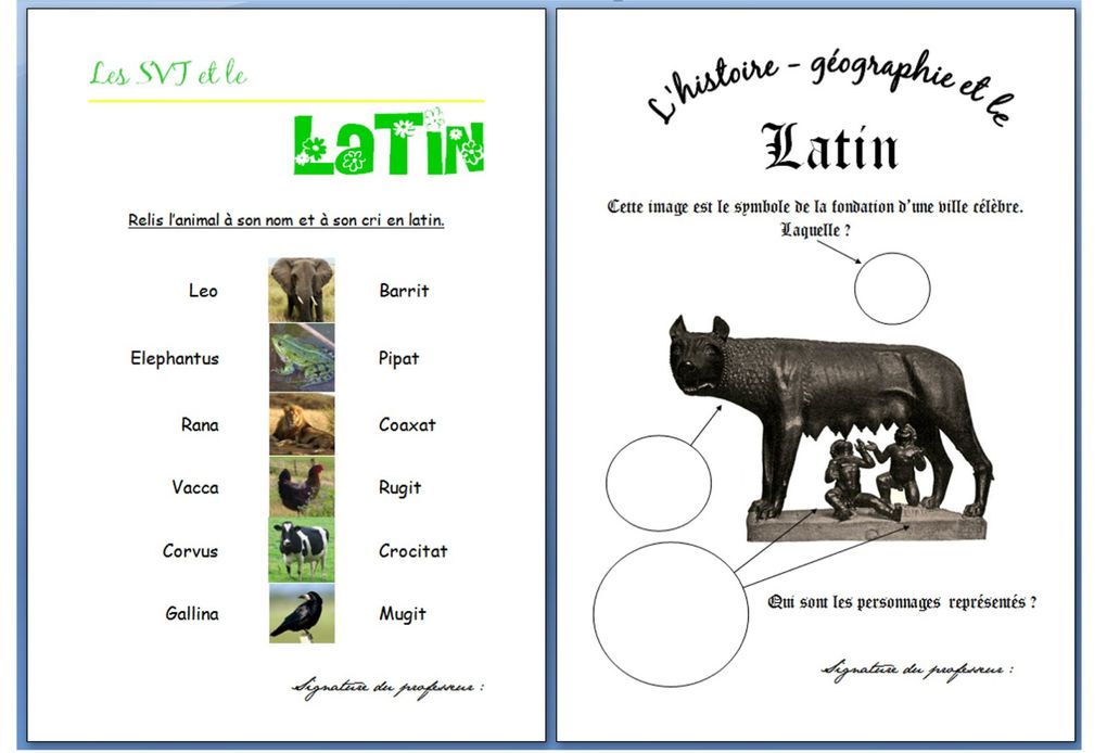 Album - Carnet latin