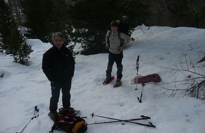 Cayre nègres du Pélago : Ben Novice