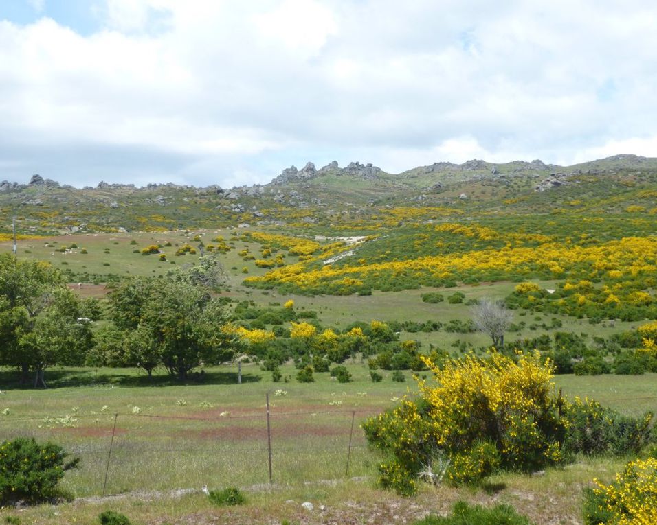 J 83 - 87 (OTAGO RAIL TRAIL)