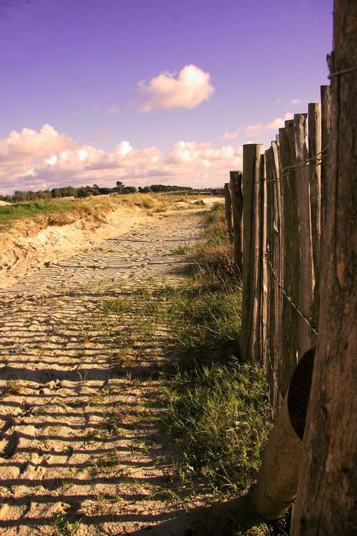 Sentier de douanier en Pays de Retz - Photos Thierry Weber Photographe La Baule Guérande