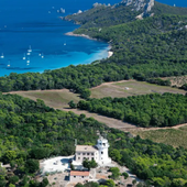 Une recrudescence des actes de braconnage constatée à Port-Cros