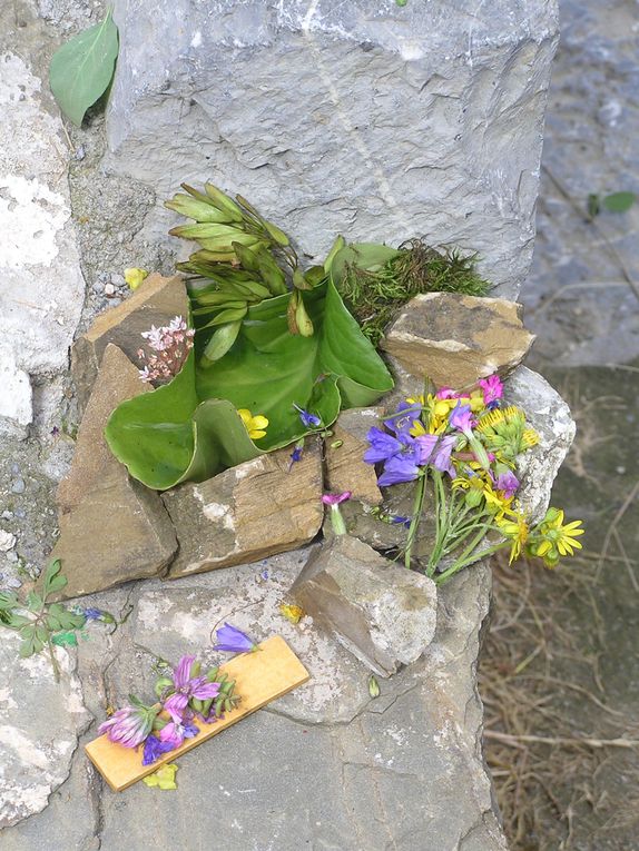 Récolter des éléments de la nature et réaliser une sculpture en plein air