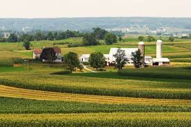 #Malbec Producers Illinois Vineyards