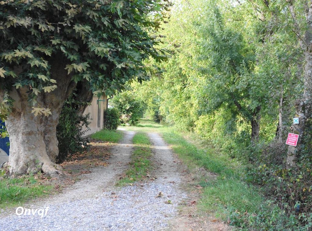 Circuit des Barthes Neuves , Mées (Landes 40) A balade