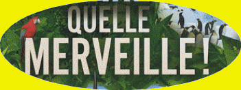 LA Merveille!