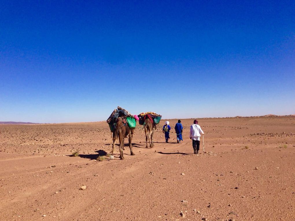 Jamal YAKOT - Manager de Maroc Tourisme Guide – Tél. Whatsapp : +212 666349485 - Tél : +212 61405780 - Mails : maroc.tourisme.guide@gmail.com et jamal@maroc-tourisme-guide.com – Site  : www.maroc-tourisme-guide.com 