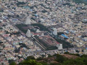 Tiruvannamalai, Entretien avec un Brahmane