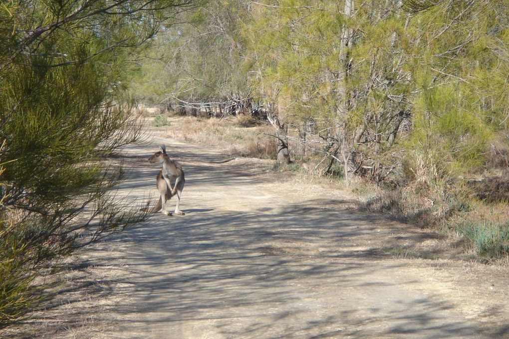 Album - 4. Perth et ses environs