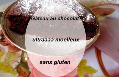 Gâteau au chocolat ultraaaa moelleux (sans gluten )