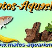 Matos Aquarium - Accueil