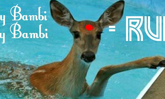 Surf My Bambi Surf My Bambi - Run