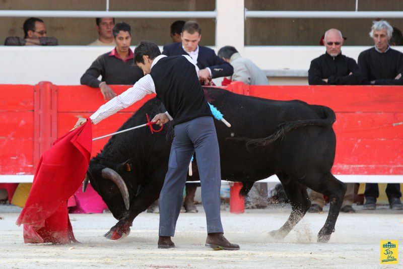 St-Martin-de-Crau Samedi 8 octobre 1011 Journée du Revivre de la Feria de la Crau Tienta de macho et de vacas et Lidia de 4 toros Ganaderias : Giraud-Malaga-Yonnet