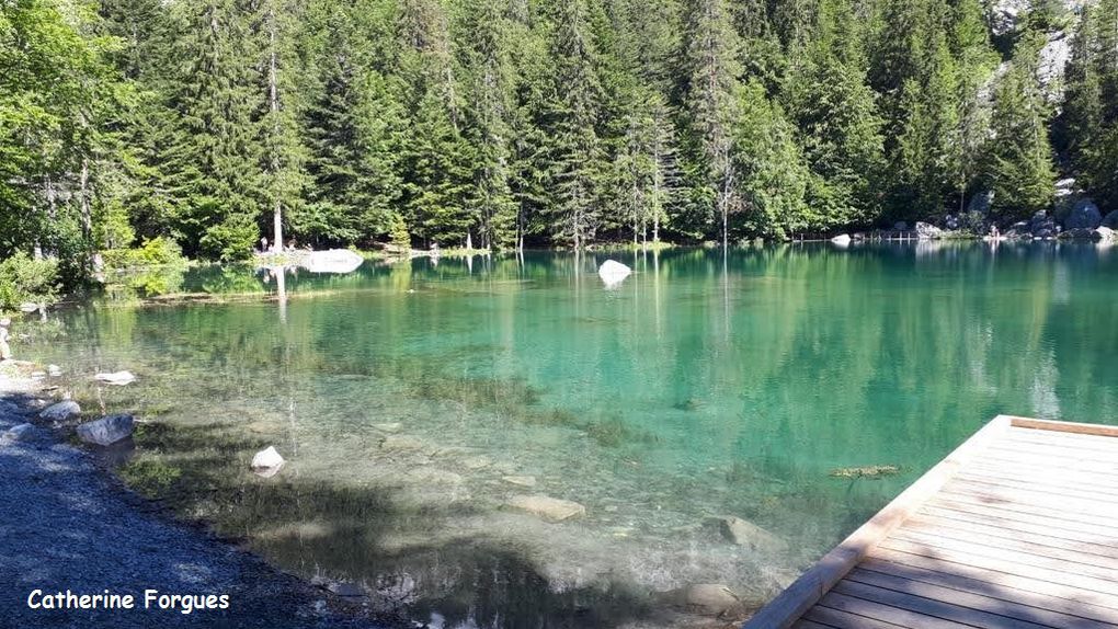 Lac d'Aiguebelette, lac du Bourget, Lac Vert en Haute-Savoie