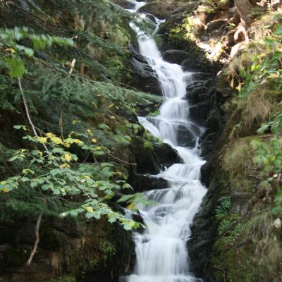 Accueillez ce que vous donne la vie, car le hasard n'existe pas