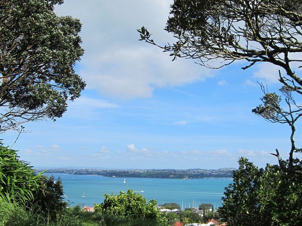 Première journée à Auckland