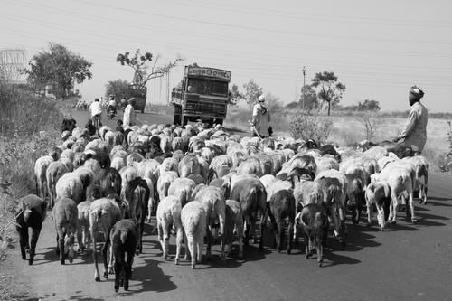 Pour dépasser le pur exotisme indien, quelques photos de notre reportage au long cours, en N&B évidemment.