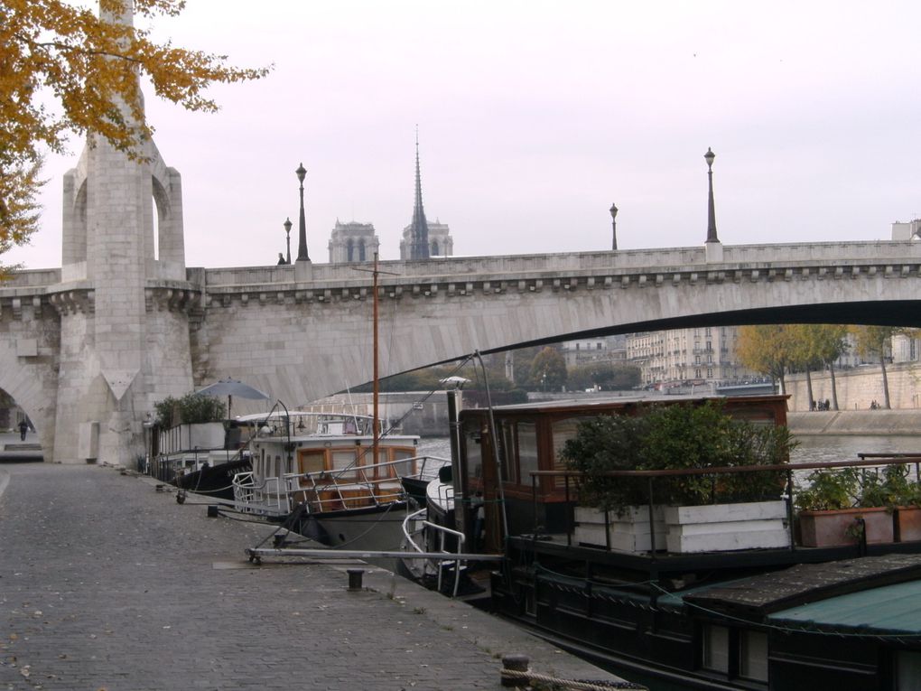 Paris en novembre