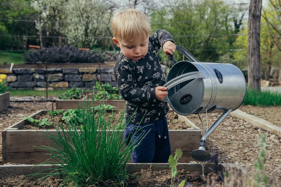 Le petit potager de Murphy