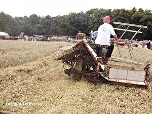 Fête à l'ancienne 2014 fin