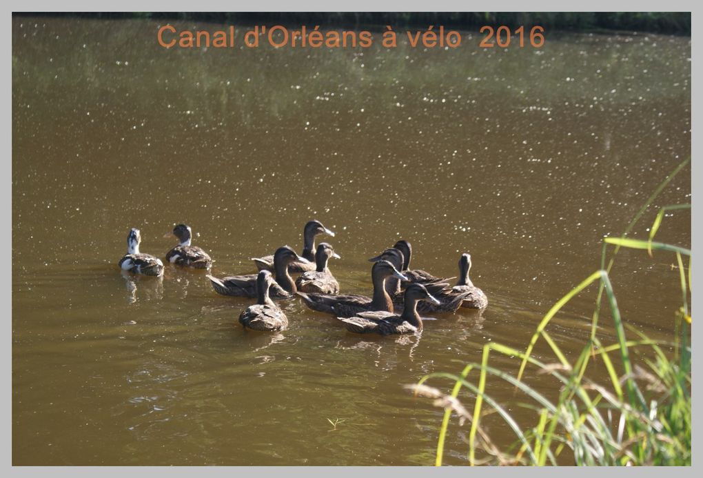 Escapade à Orléans par le canal. Jour 2. 2016