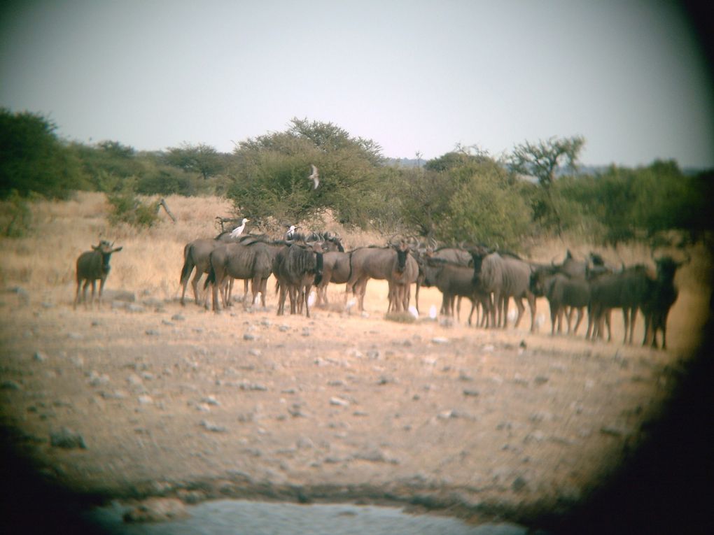 Album - Namibia