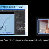 Analyse des "vaccins" Covid-19 effectuée par Prof. Lorena Diblasi and Dr. Marcela Sangorrín