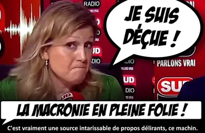 Yaël Braun-Pivet FLINGUE la Macronie (Vidéo)
