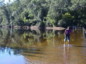 Entre Batemans et Jarvis Bay, délaissez les princes pour les rois (passez de Princes Highway à Kings Highway). Puis, prenez sur la droite The River Road, une petite route de terre très bien entretenue, sans aucun risque pour la voiture de location, qui longe la rivière et parfois même la rencontre... Ha oui, elle est froide!