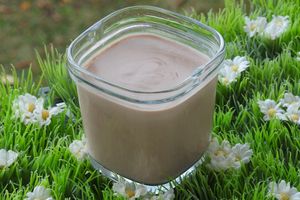 CREME A LA PRALINOISE (thermomix)