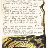 Voir Le Monde Dans Un Grain De Sable Solitudes