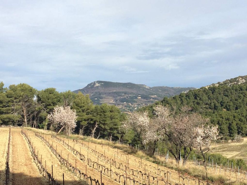 Dimanche 31 Janvier : ST Hippolyte de Graveyron