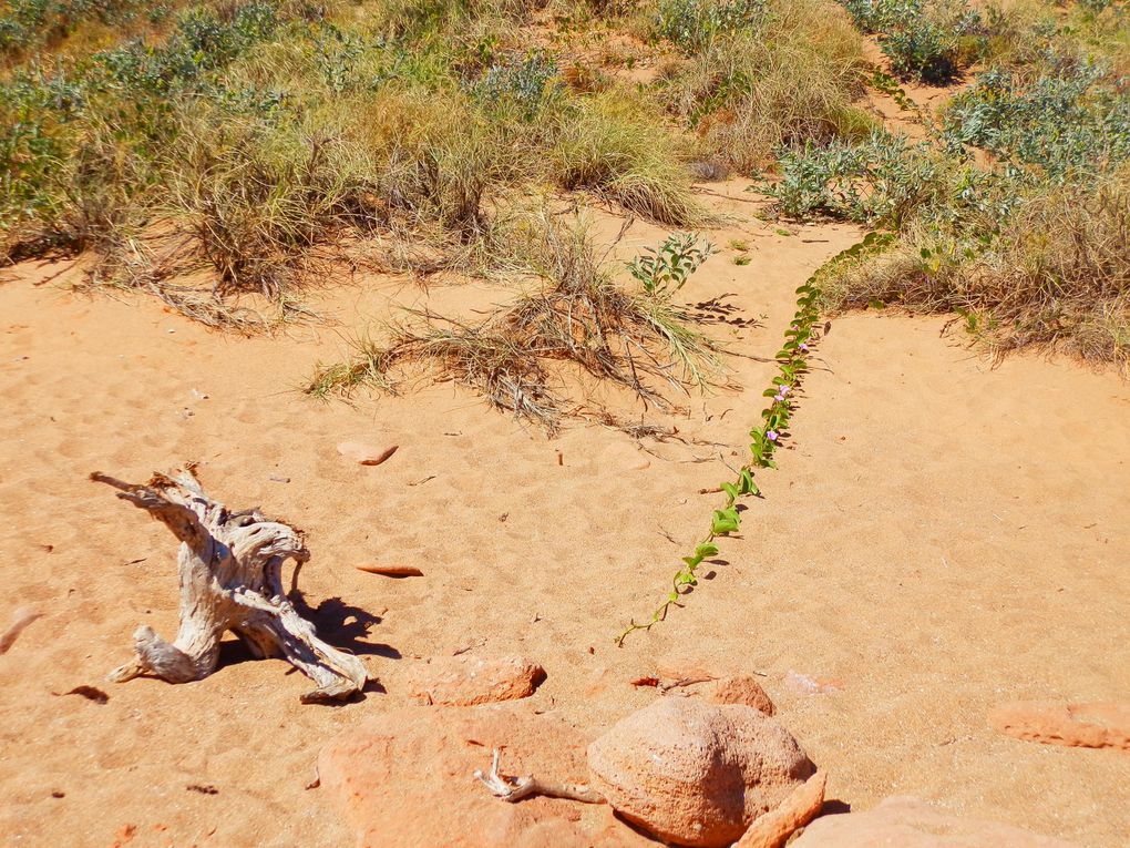 Album - Perth-Broome