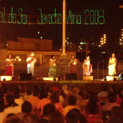 Festival de son jarocho de Mina