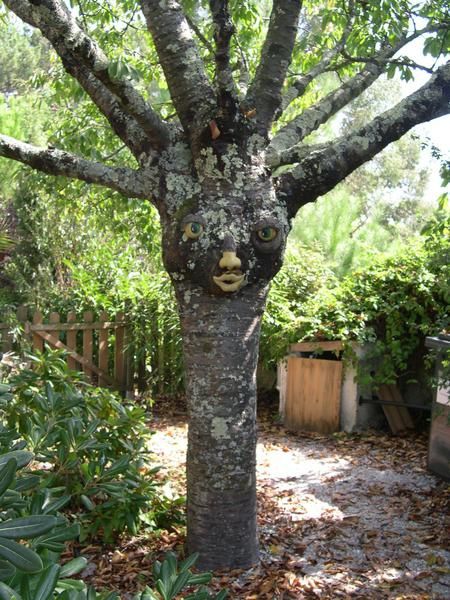 <p>Je vous invite &agrave; d&eacute;couvrir des arbres &eacute;tonnants ! Certains peuplent mon jardin, d'autres habitent des for&ecirc;ts myst&eacute;rieuses !</p>
<p>Si ces arbres vous interpellent allez&nbsp; vite lire les textes s'y rapportant ( dans la rubrique : Broc&eacute;liande ou jardin )</p>
<p>&nbsp;</p>