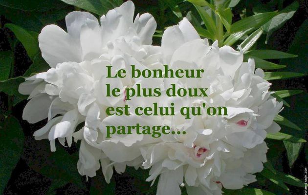 ~*~ Pensée...~*~