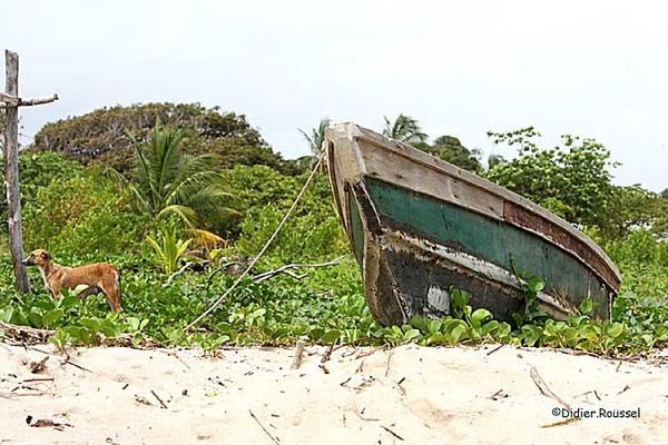 La vie autrement-vue en Guyane