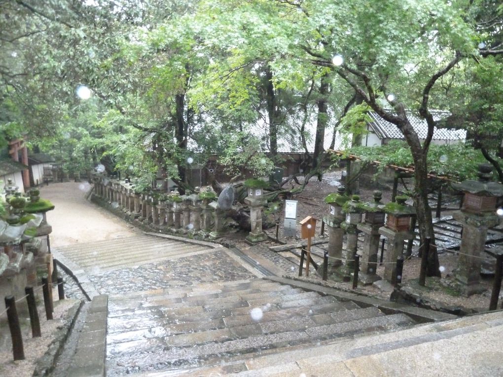 Nara sous la pluie avec Karin