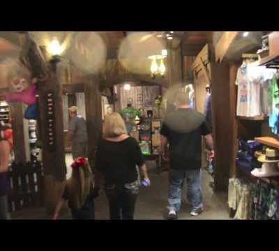 Splash Mountain - Magic Kingdom - Frontierland - Orlando 