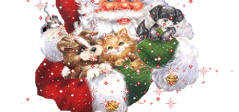 Coucou bonjour et Joyeux Noel à vous mes amies