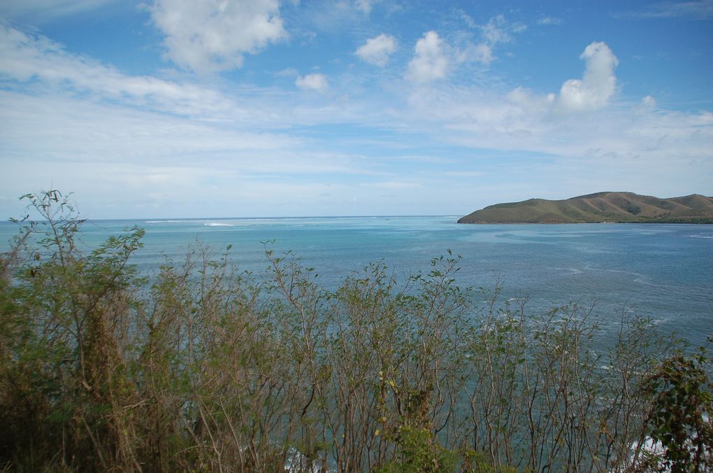 Album - Lifou-et-Cote-Est-de-la-caledo