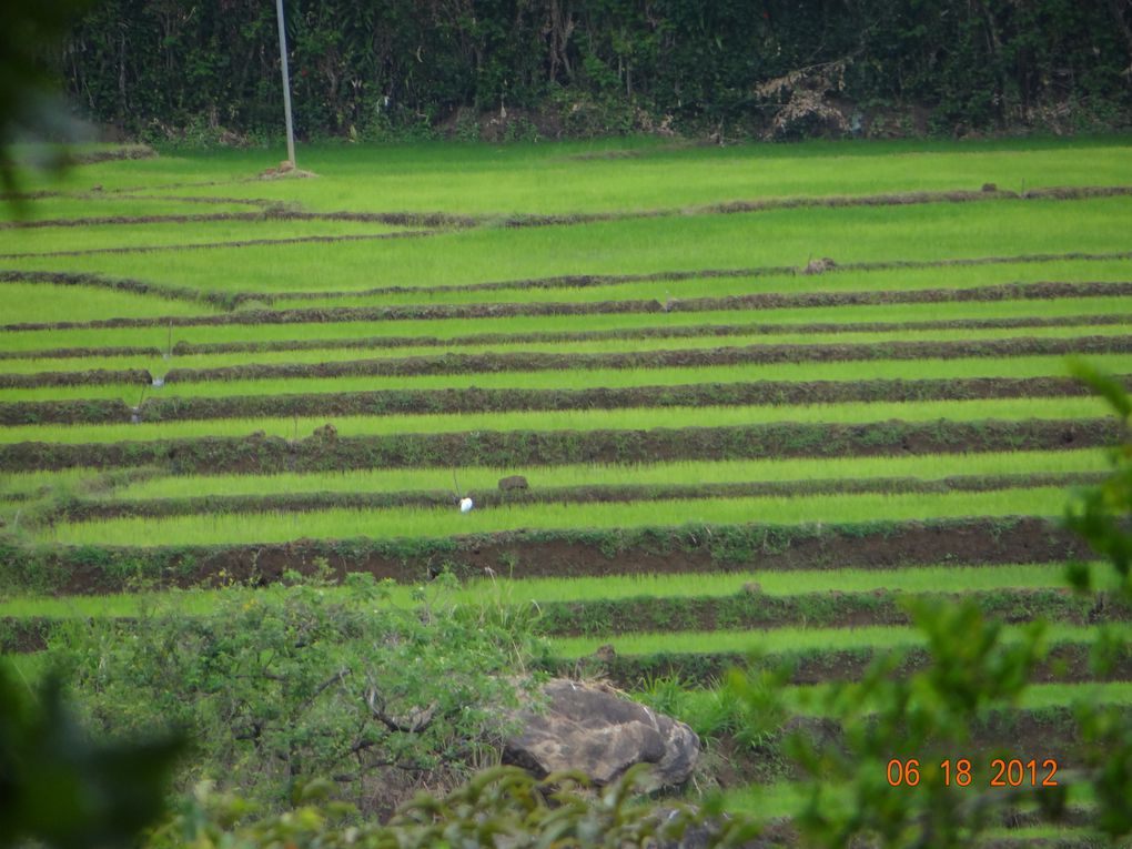 Album - YALA---Nuit-etoilee---Kandy