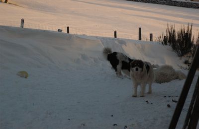 JEUX de Neige à  LA TORNJAK