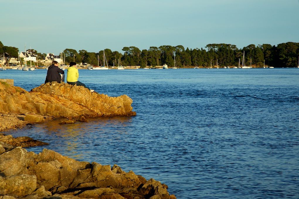 Album - Golfe-du-Morbihan