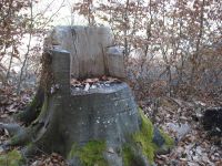 Dans la descente et la traversée vers le Fay. Un pylône se confond avec les arbres.