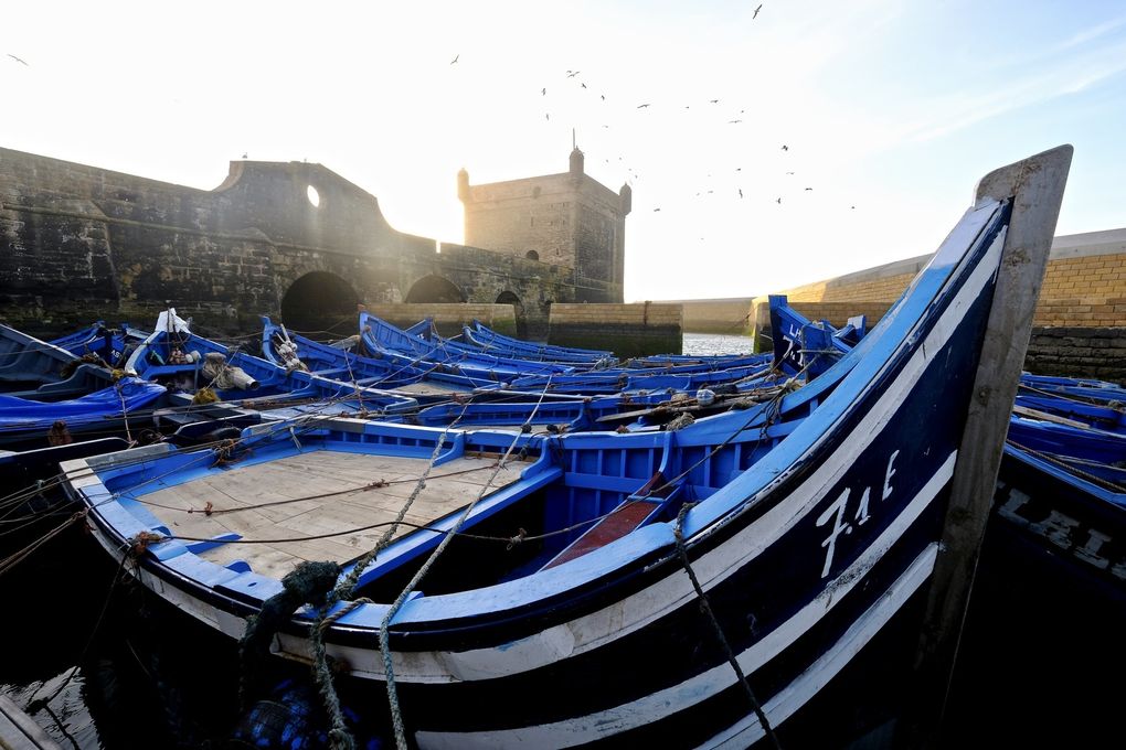 La skala du port est une plate-forme d'artillerie du 18ème siècle et une des principales fortifications de la ville. personnellement j'ai oublié ses vieux canons espagnols et hollandais pour me concentrer sur son décors et son charisme qui accompagne  les barques, les oiseaux, les filets de pêcheurs, les bans fatigués de la journée et de la foule, mais aussi le soleil couchant. 