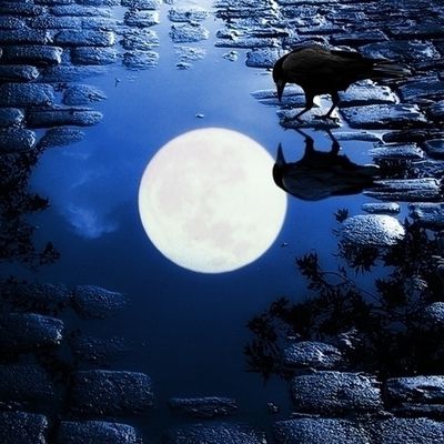 Nuit - Lune - Reflet - Corbeau - Picture - Free