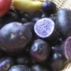 Les patates violettes