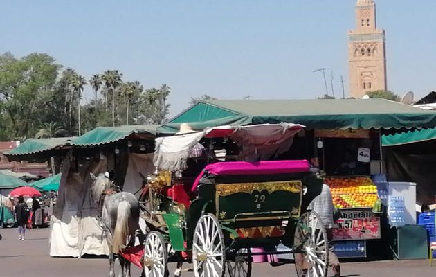 Balade en calèche dans Marrakech