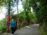 - cliquez sur les photos pour agrandir -